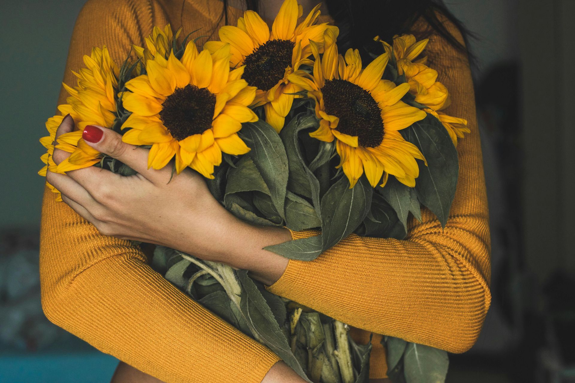 Volop zonnebloemen bij Althaea Bloemen en Planten