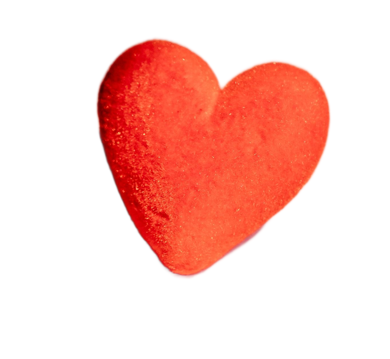 Valentijnsdag bij Althaea Bloemen en Planten