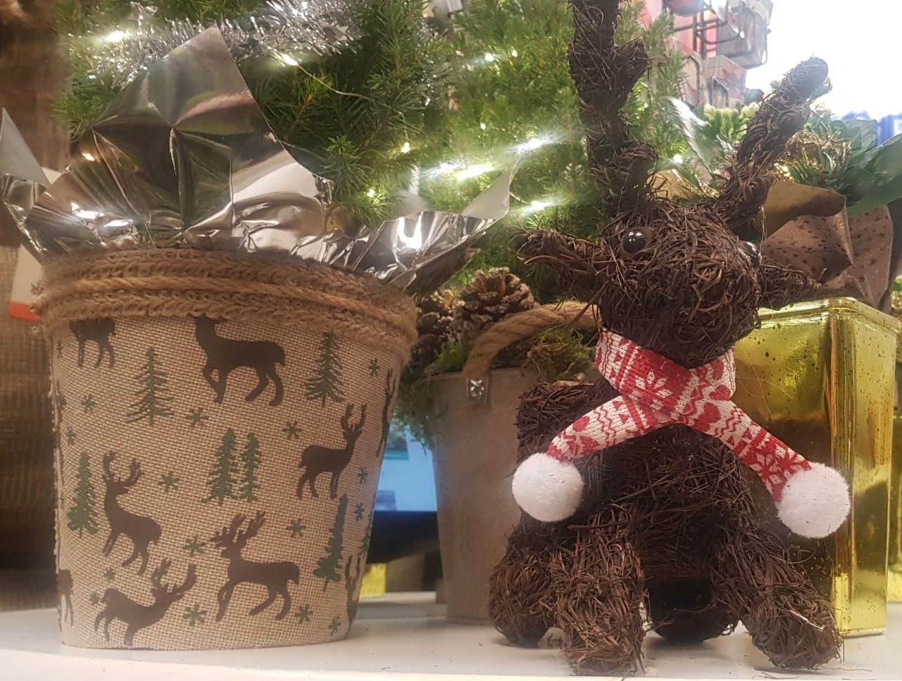 het is volop kerst bij Althaea Bloemsierkunst en Althaea Bloemen en Planten