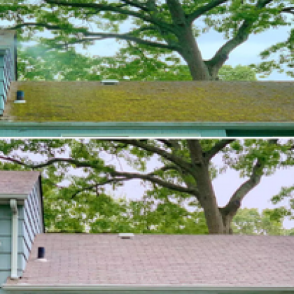 Before and after shots of a house roof, covered in moss and clean, respectively, with a tree in the background.