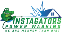Green gator power washing a house; logo for Instagators Power Washing; text: "We are meaner than dirt."
