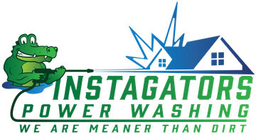 Green gator power washing a house; logo for Instagators Power Washing; text: "We are meaner than dirt."