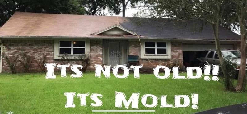 A house roof half covered in dark mold, with text 