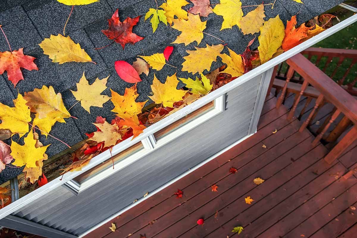 Gutter filled with colorful autumn leaves on a house next to a wooden deck.