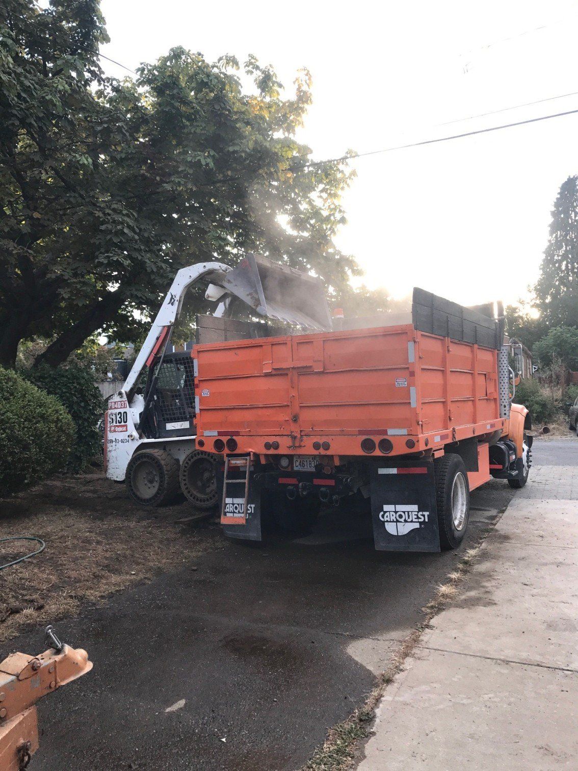 Dumping — Leveling Dirt Removal Dumping Into Dumptruck In Everett, WA
