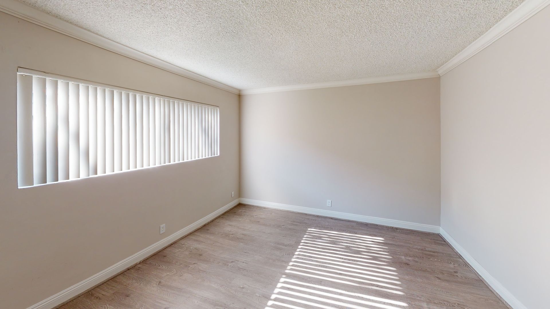 Empty room with beige walls, carpet, and window with blinds. Sunlight streams in.