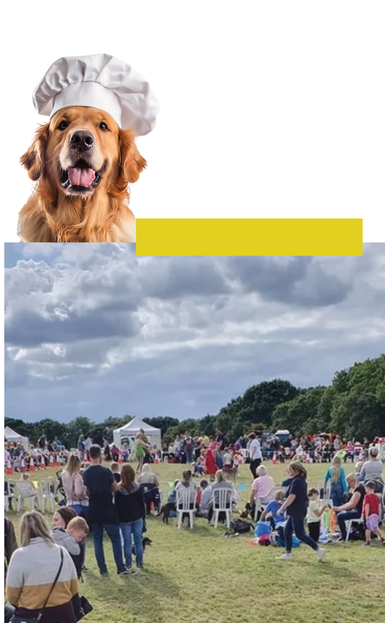A dog wearing a chef 's hat is standing in a field with people.