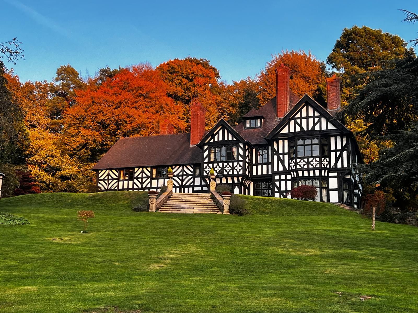 Rowden Abbey Autumn leaves