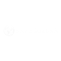 A white background with a few lines on it