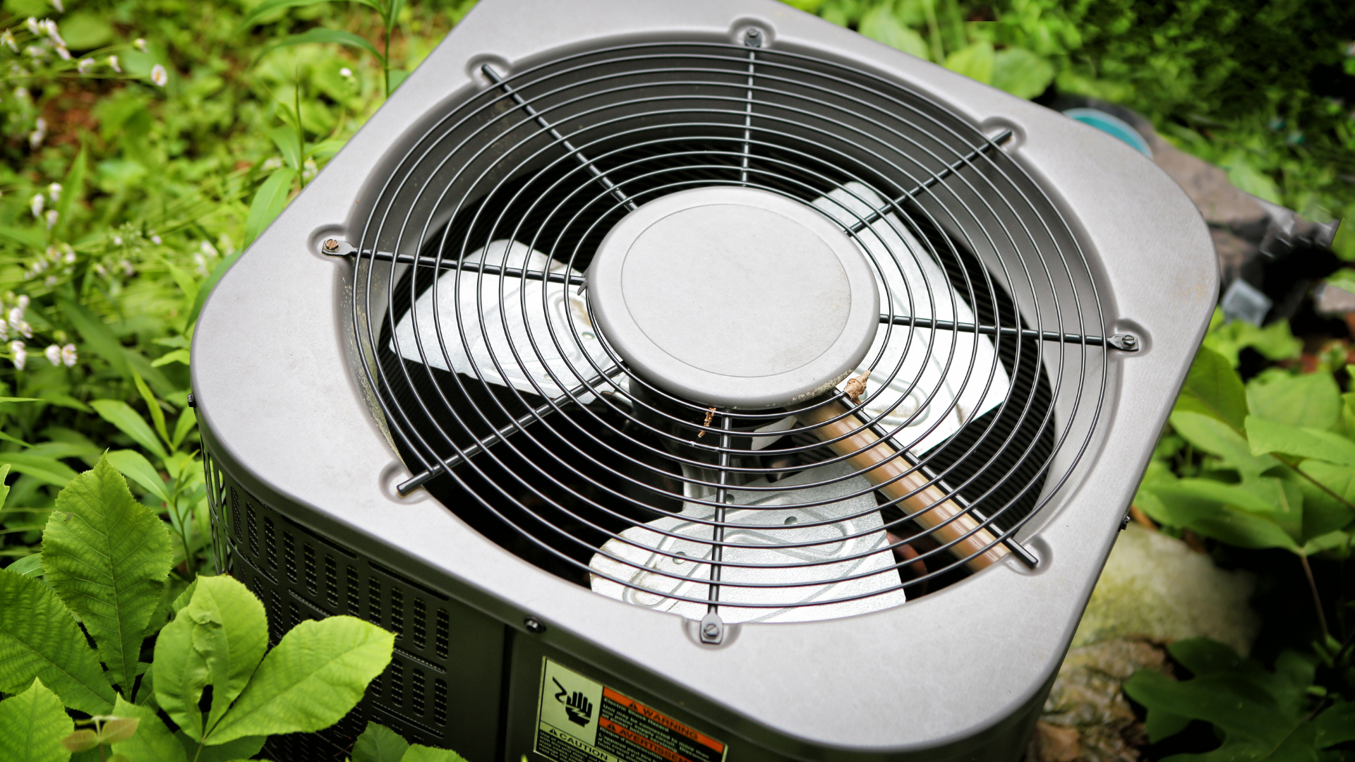 A fan is sitting in the grass with a magnifying glass.