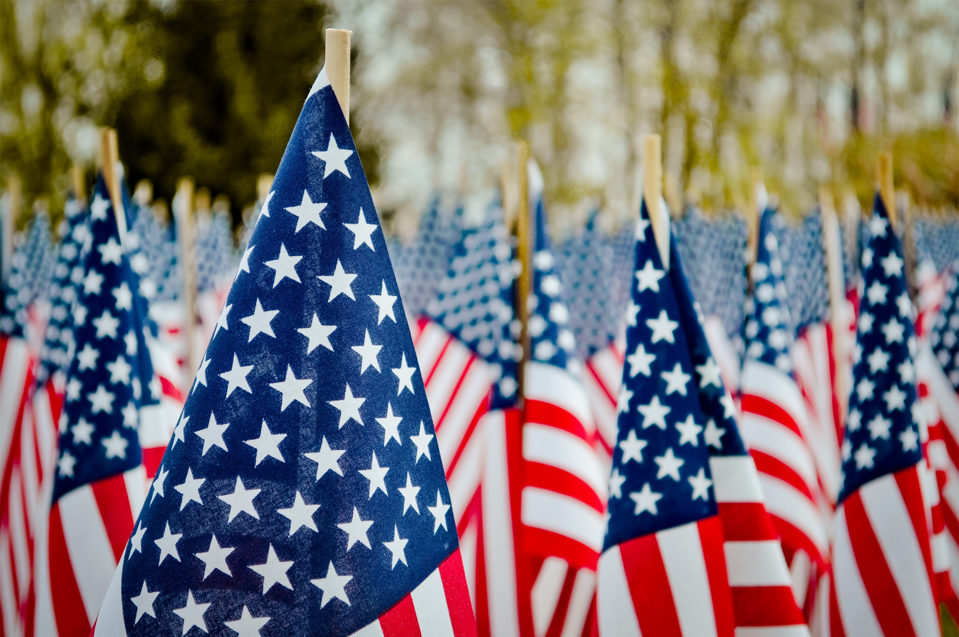 A bunch of small american flags are lined up in a row.
