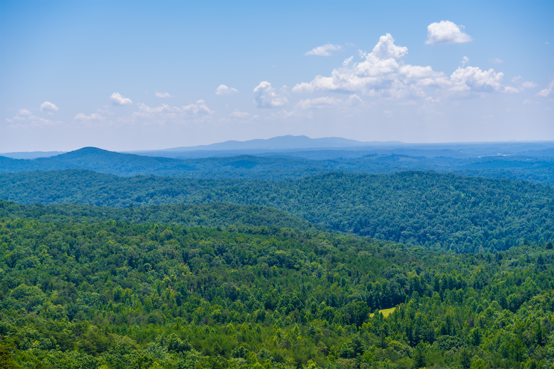 A view of a lush green forest with mountains in the background on a sunny day.