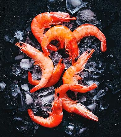 Frozen Cooked Shrimp – Newark, NJ – Ocean Frost Corp.