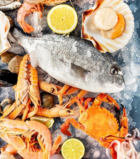 Fish and Seafood Variety – Newark, NJ – Ocean Frost Corp.
