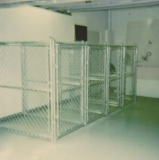 Dog cage — Brooksville, FL — AARO Fence Inc.