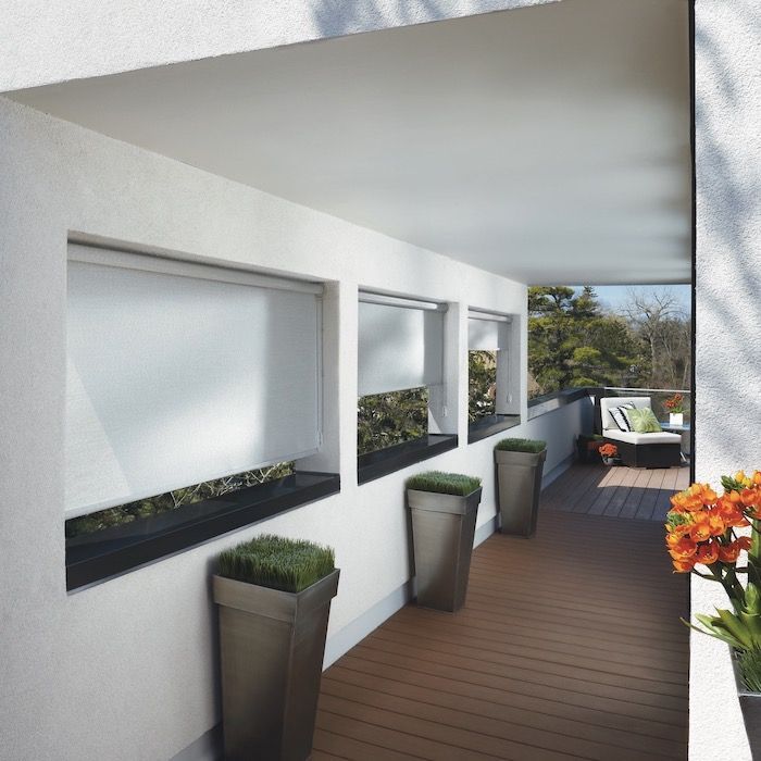 Window Blinds With Plants — Pomona, CA — Althan Design Draperies & Decor