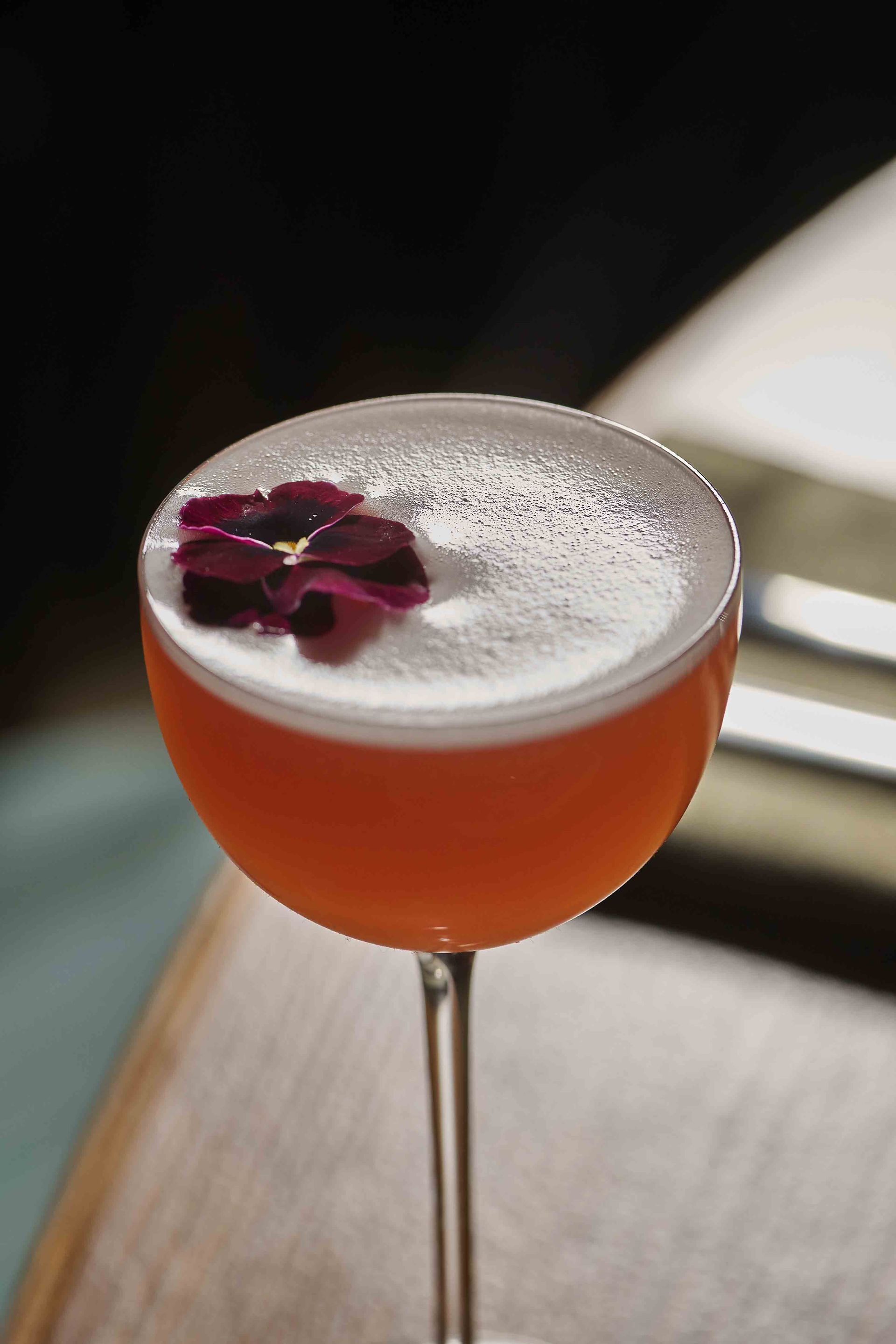 Cocktail at Divino Osteria
