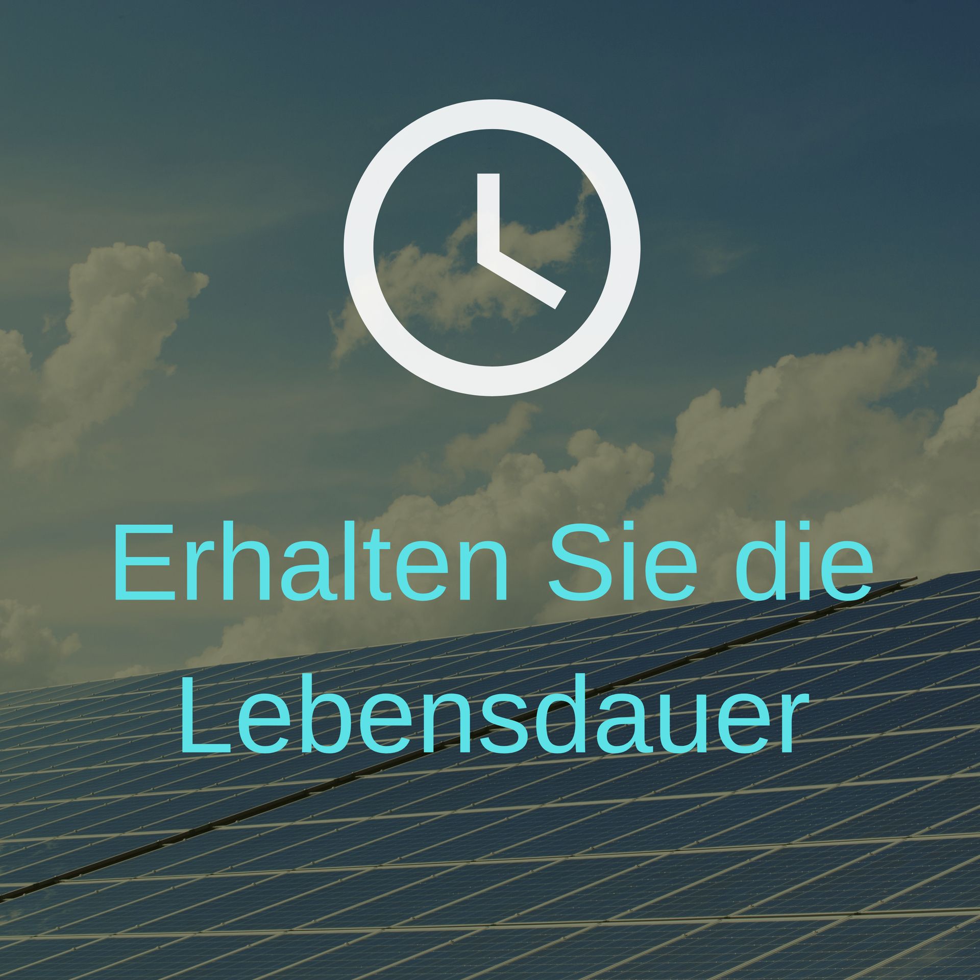 Erhalten Sie die Lebensdauer Ihrer Anlage verlängern Sie die Lebensdauer Ihrer Anlage durch regelmäßige Reinigung