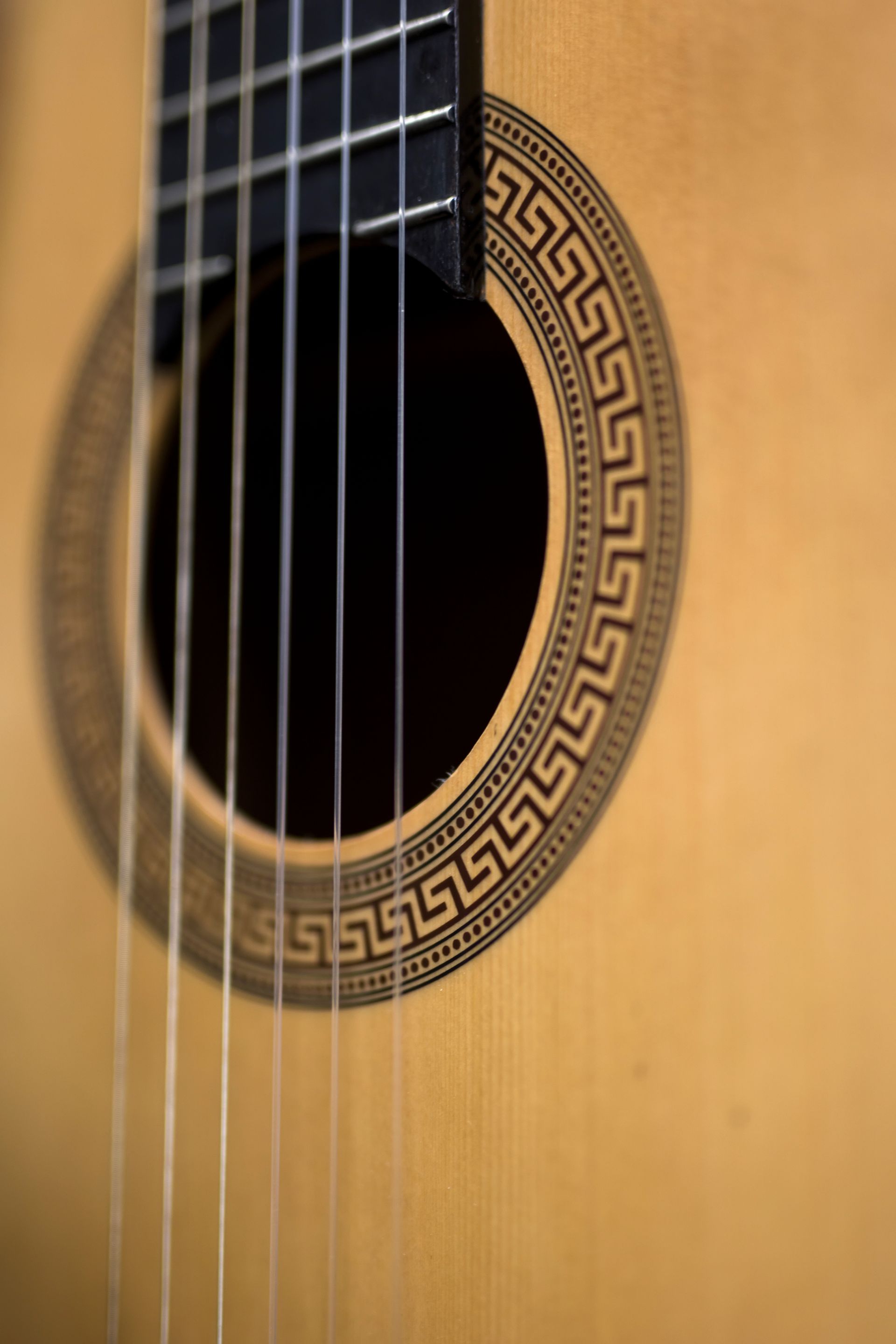 A close up of a guitar with a greek key design