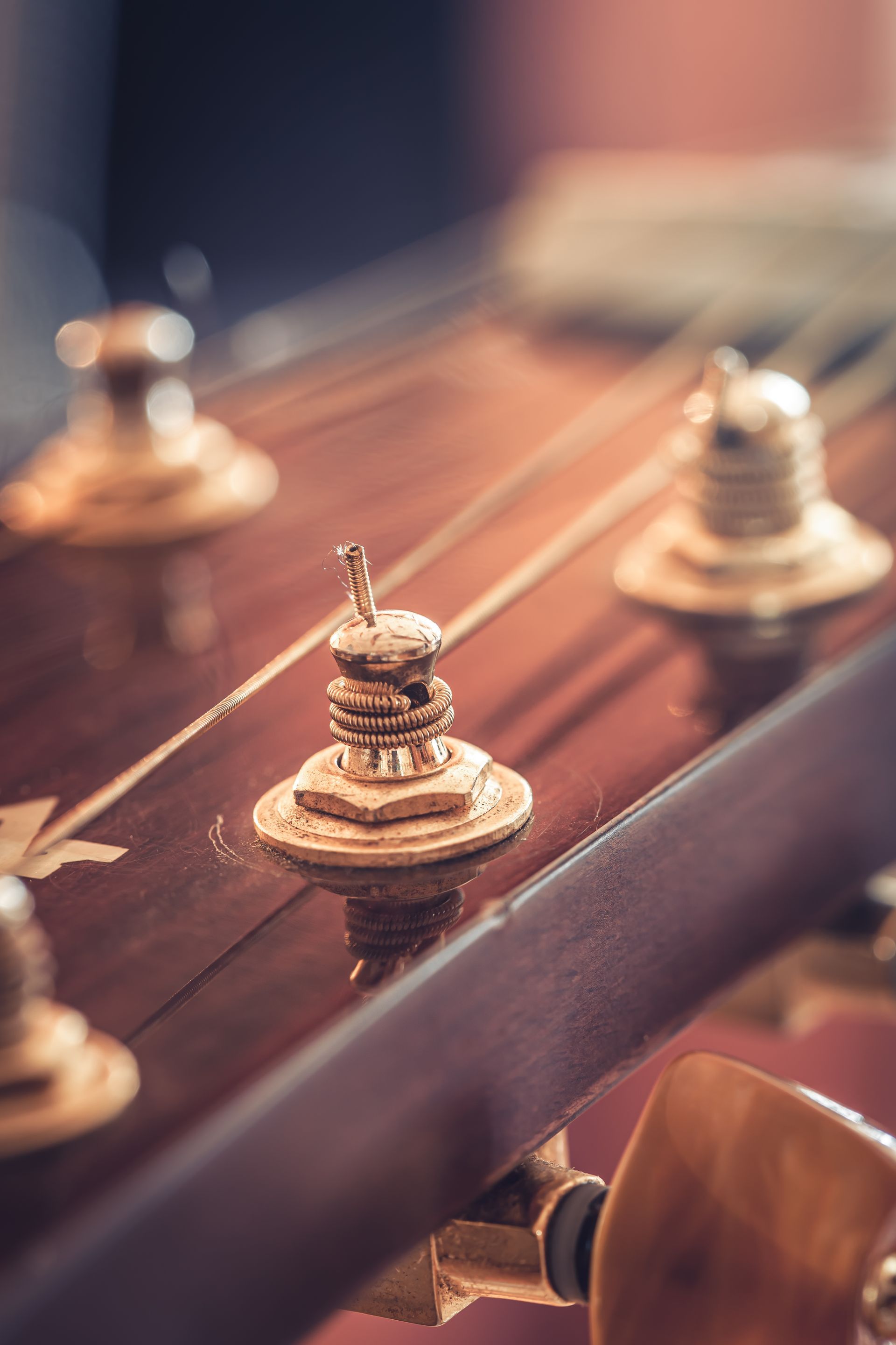A close up of the strings on a guitar.