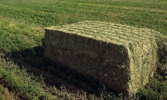 Un gran fardo de heno se encuentra en el medio de un campo de hierba.