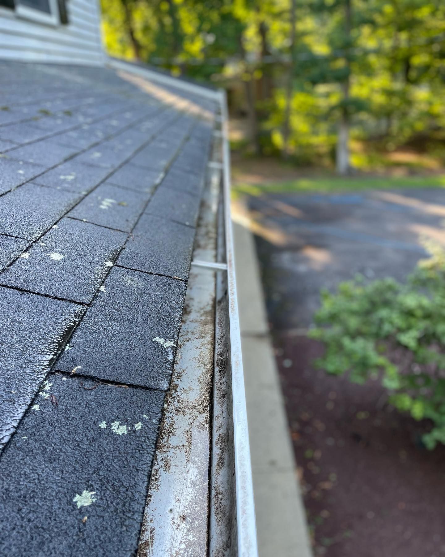 Clean Gutter — Freehold Township, NJ — Al’s Exterior Cleaning