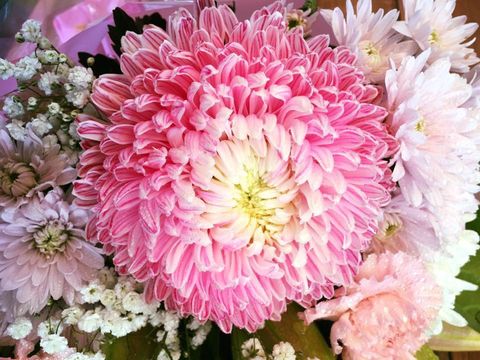 Pink Flower Arrangement—Flower Arrangement in Moranbah, QLD