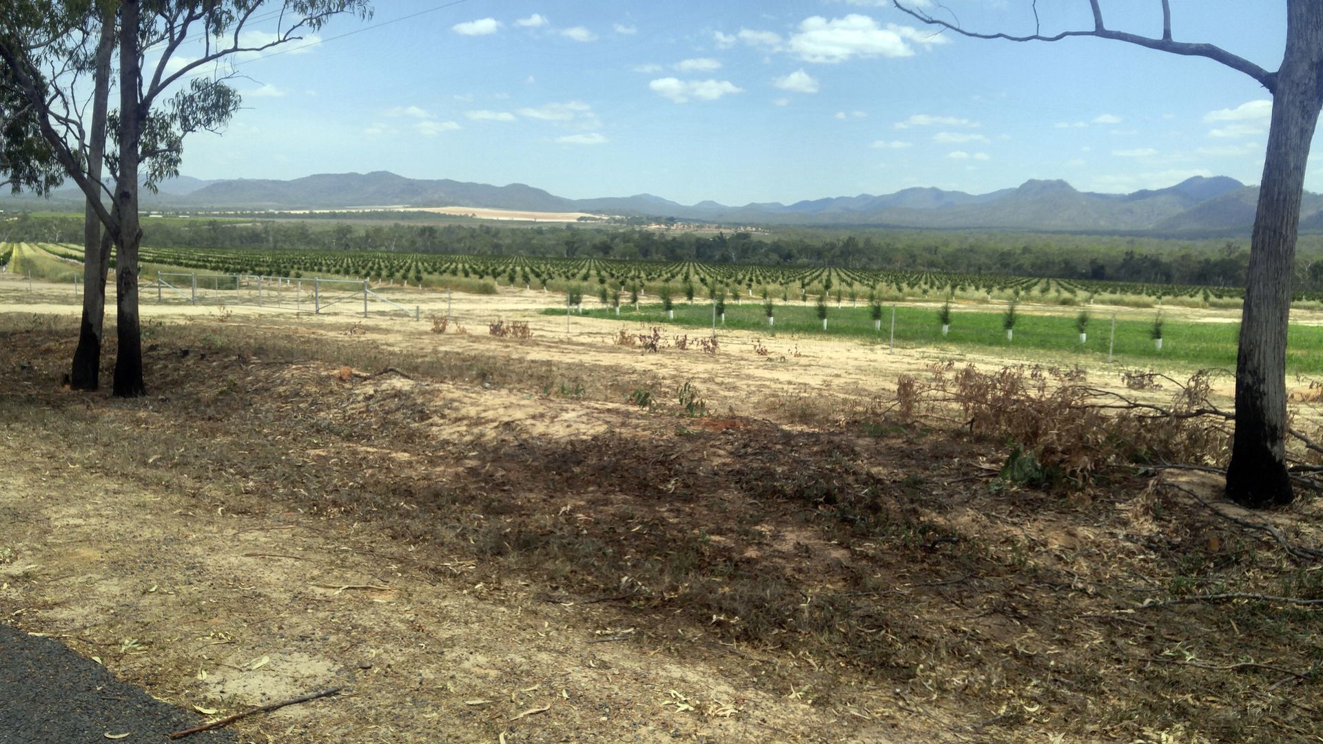 Tree Clearing — Ballarat, VIC — D.A.C Earthmoving and Fire Prevention Services