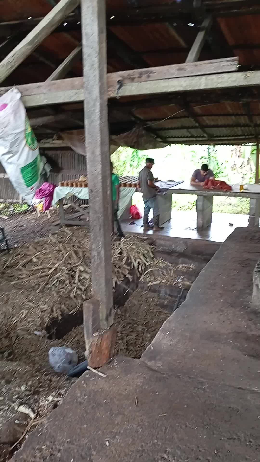 A group of people are working in a building under a roof.