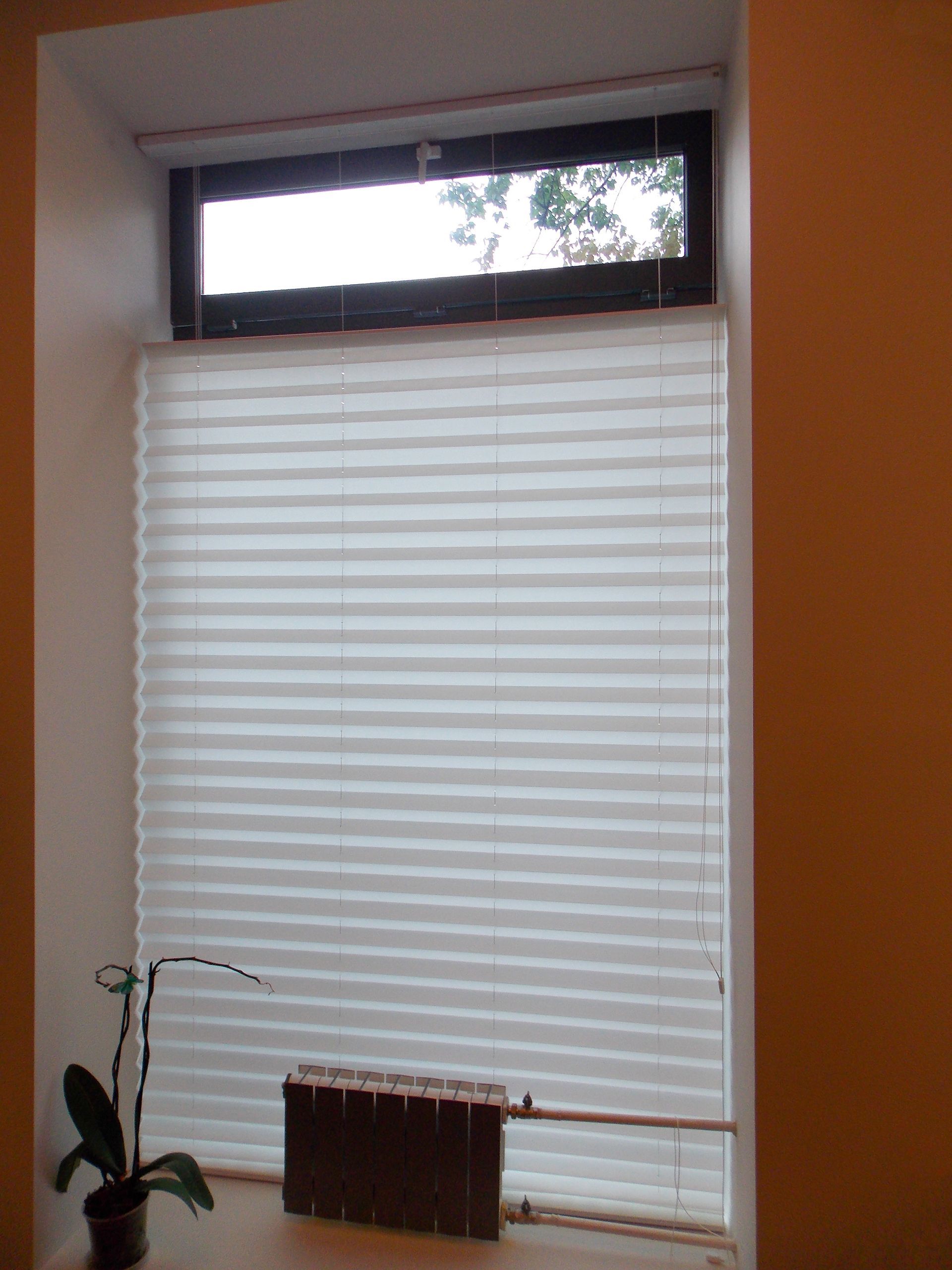 Window with white pleated blinds, small upper window, orchid on sill, radiator.