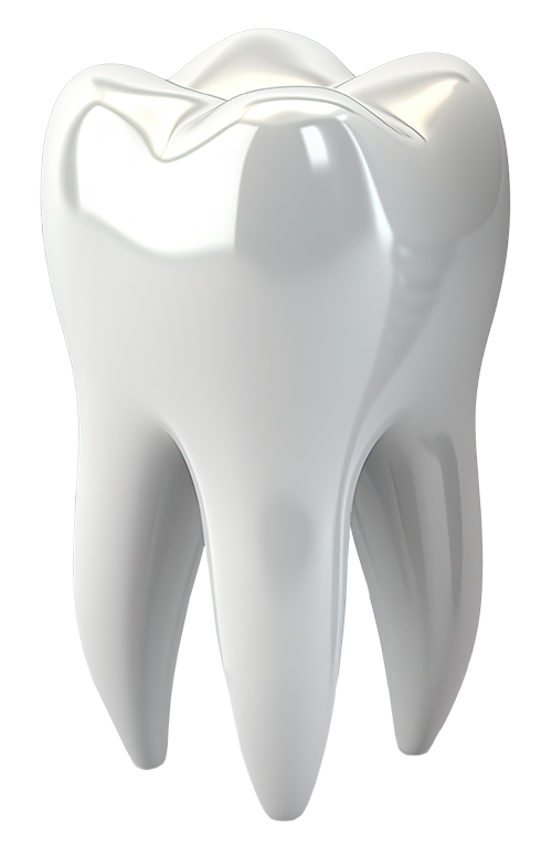 A white tooth on a white background.