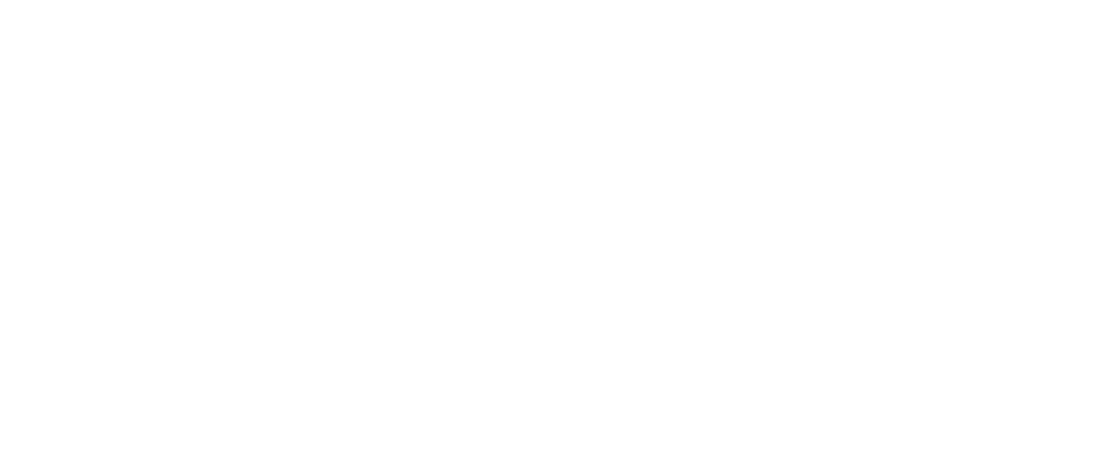 Logo for Virginia Premier Soccer League