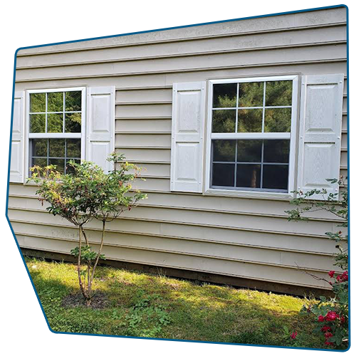 Two windows with white shutters on a beige house exterior, with a small bush and grass in front.
