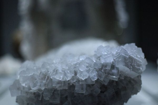 Close-up picture of condensed white translucent salt crystals.