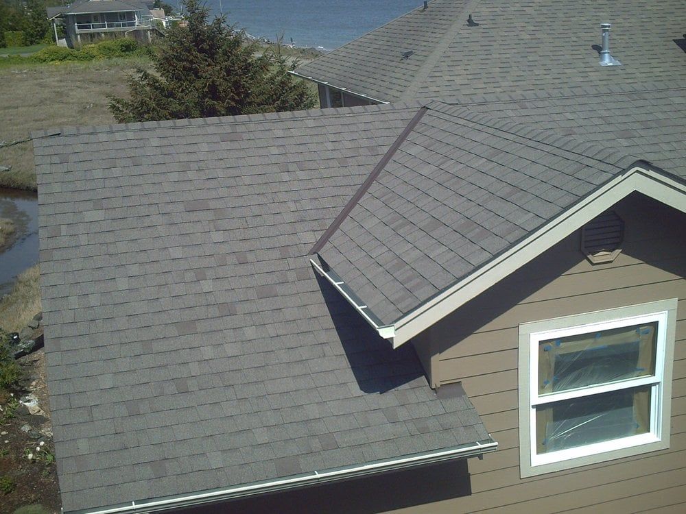 Close-up of a house roof with gray shingles and a window on the right.