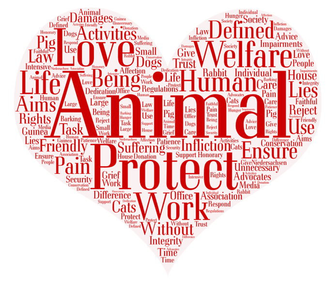 A word cloud in the shape of a heart with the words love , welfare , animal , and protect written inside of it.