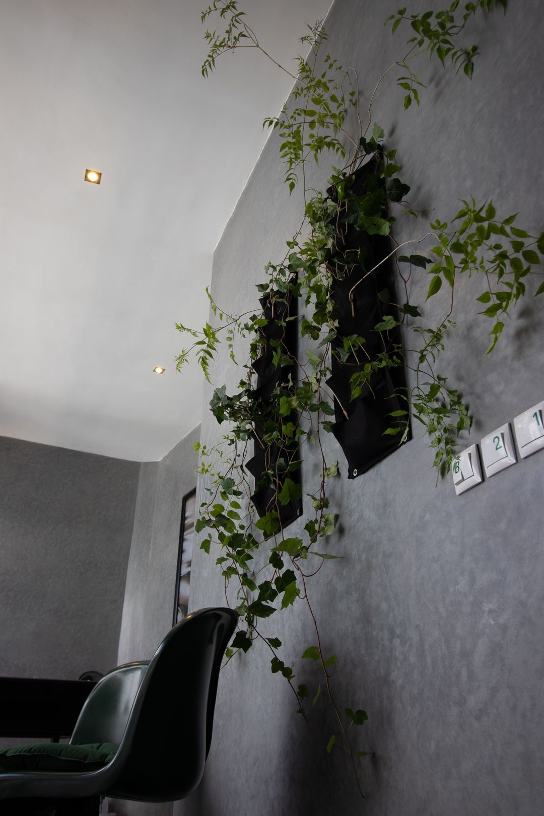 A living room with a couch and chairs and a wall with plants growing on it.