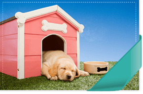 Quality dog kennels