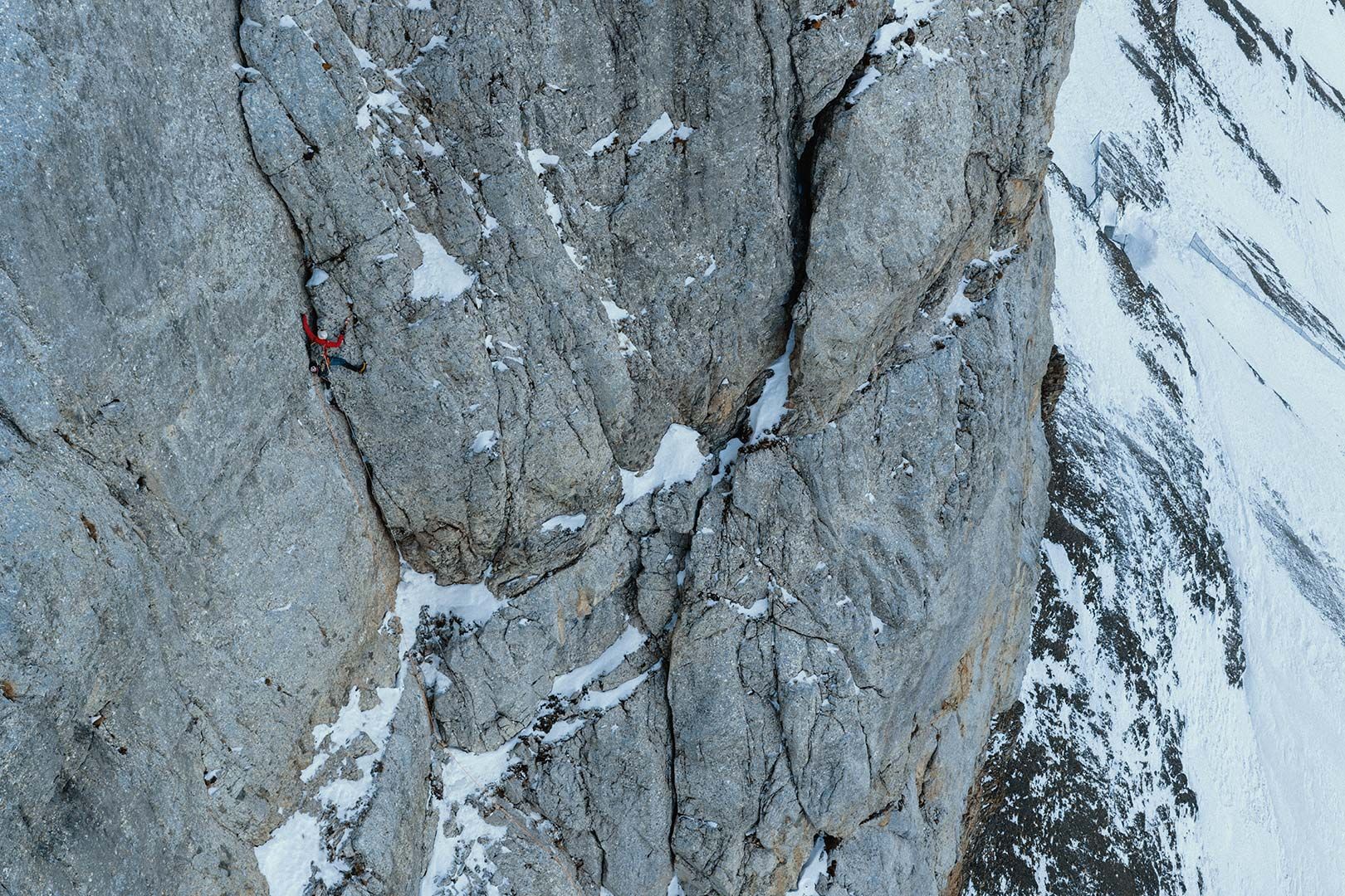 Fay Manners - Tête aux Chamois