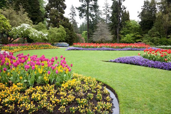 A lush, colorful garden with rows of flowers and a green lawn. Trees in the background.