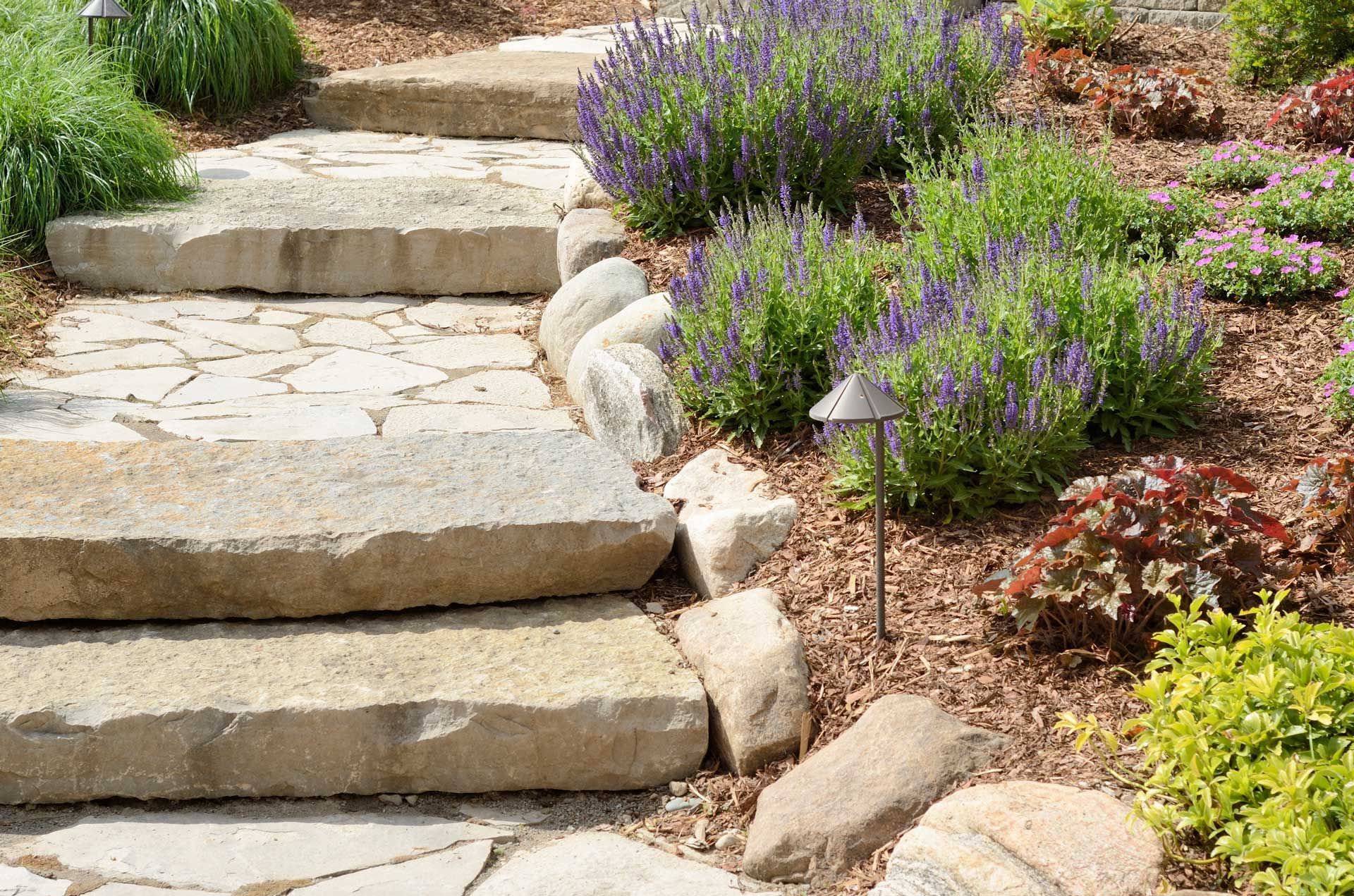 Stone steps in a garden with purple flowers, mulch, and landscaping.