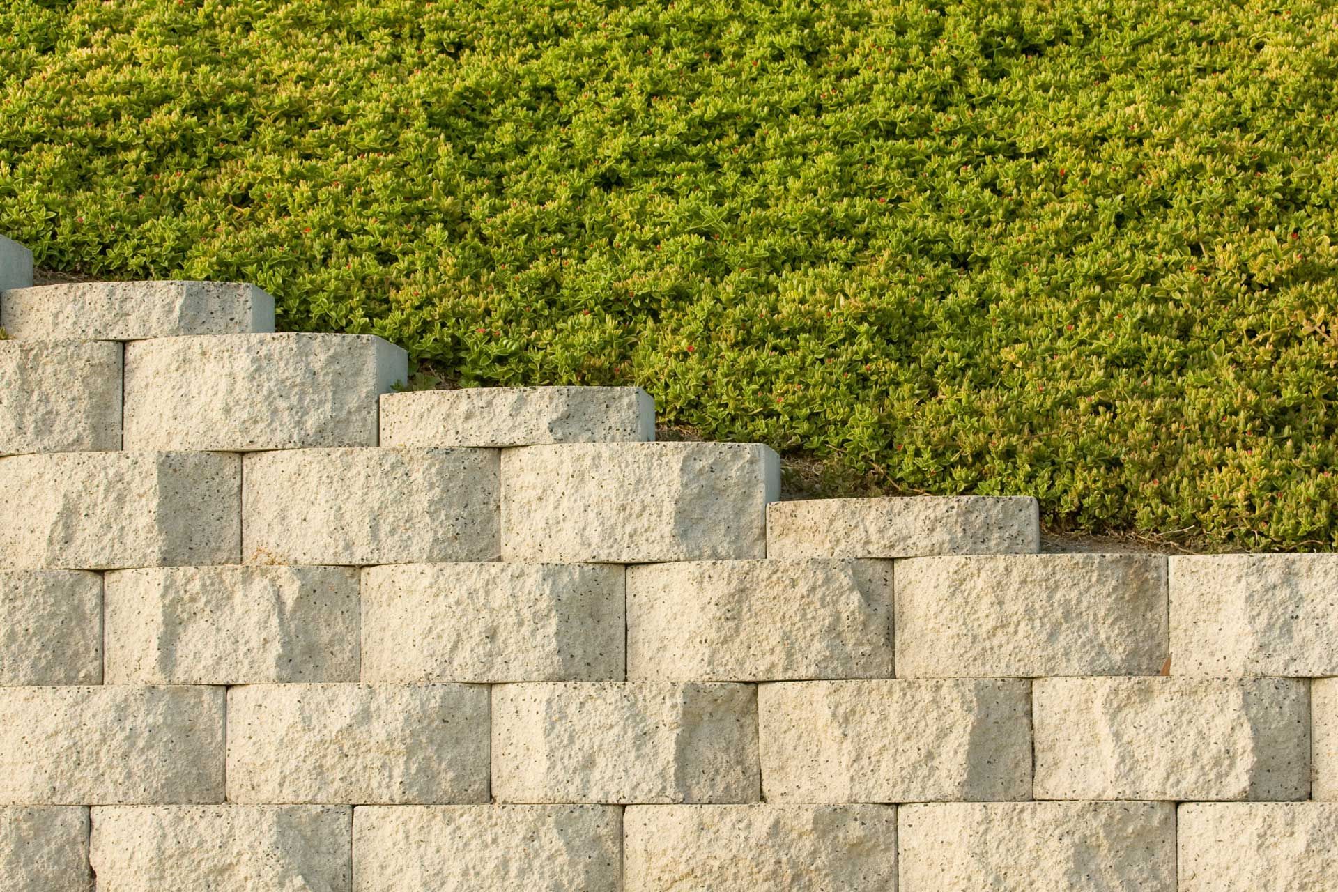 Gray stone retaining wall with lush green plants on a slope.
