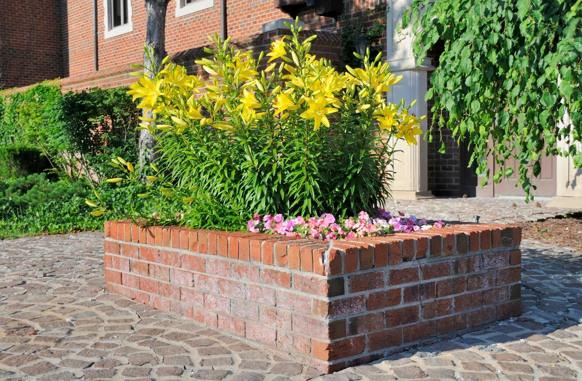 Brick planter box with yellow lilies and pink flowers on a cobblestone walkway.