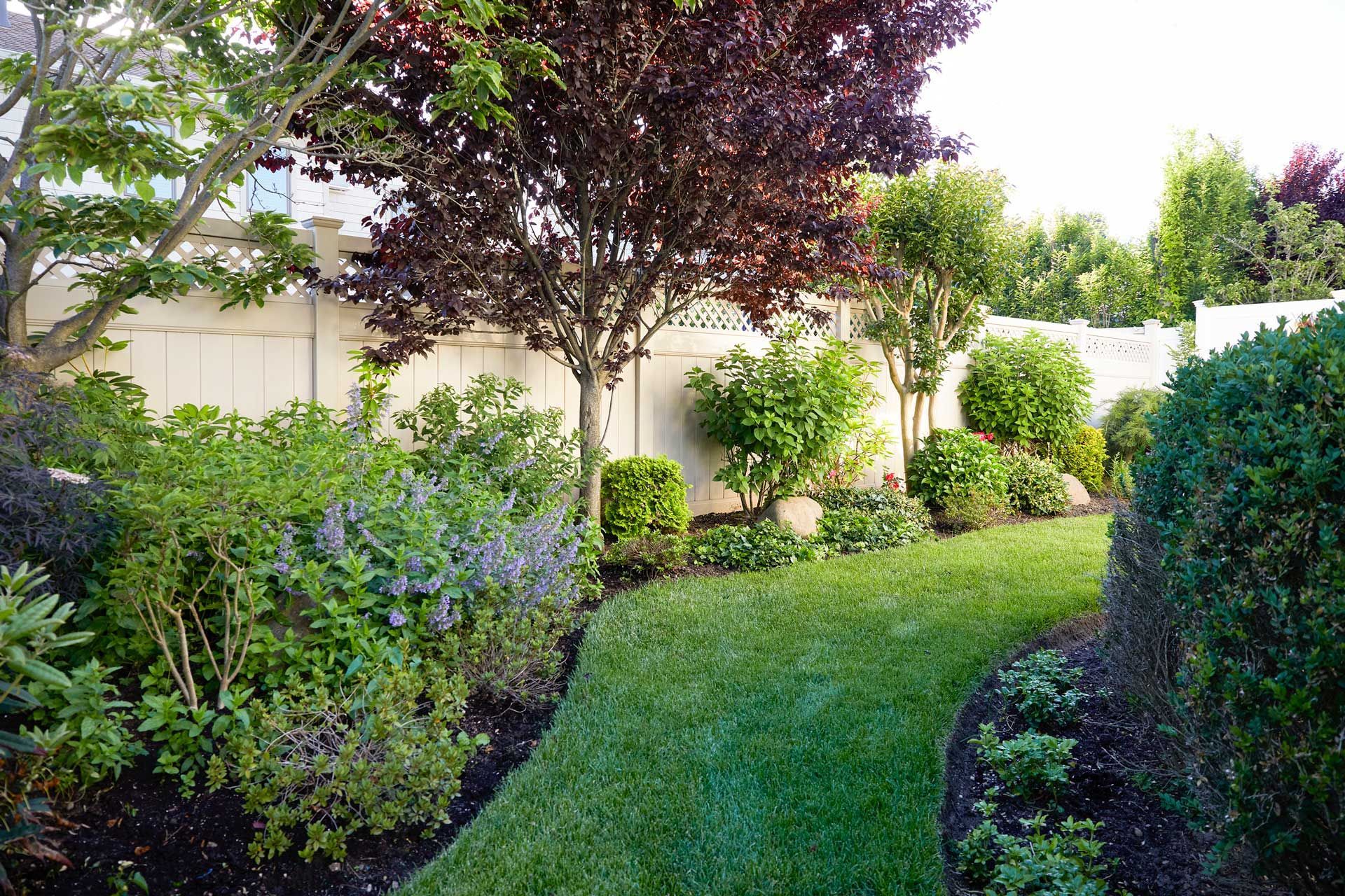 Lush garden with a green lawn path, bordered by shrubs, trees, and a white fence.