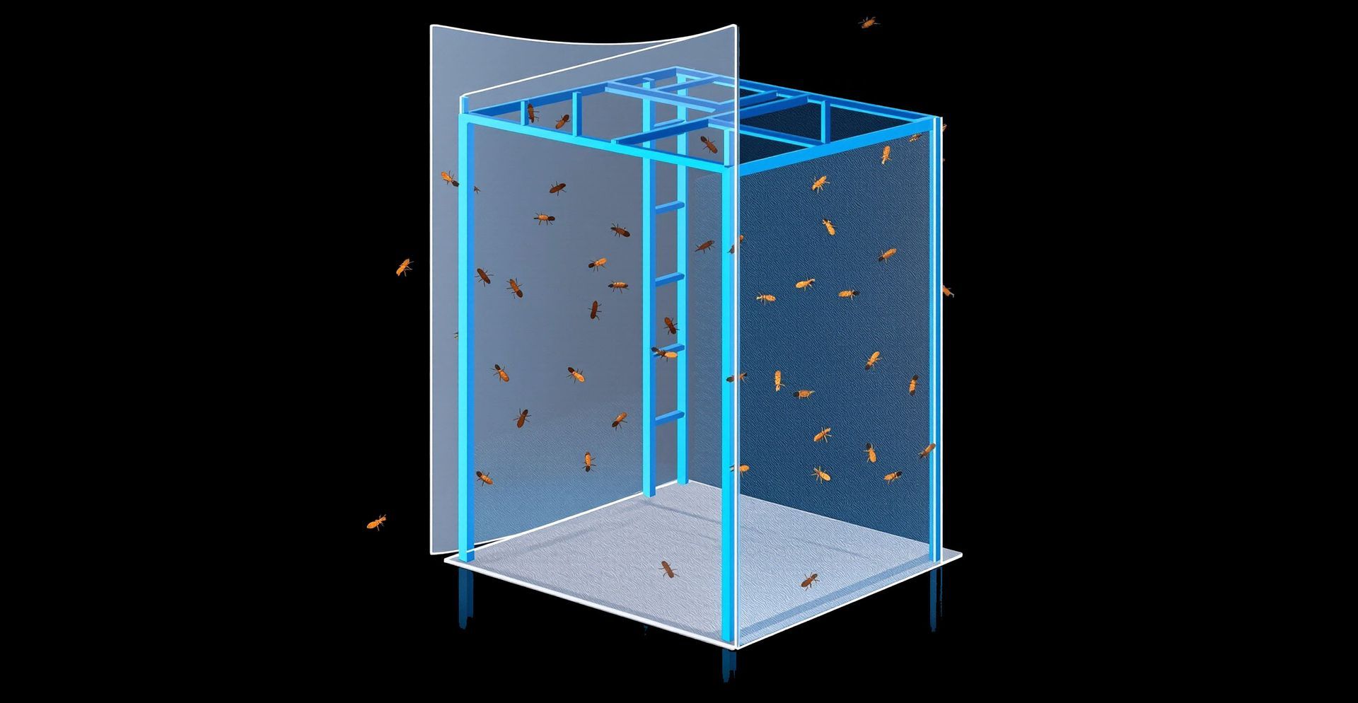 Isometric view of a shower stall with blue frame and frosted walls. impenetrable to termites