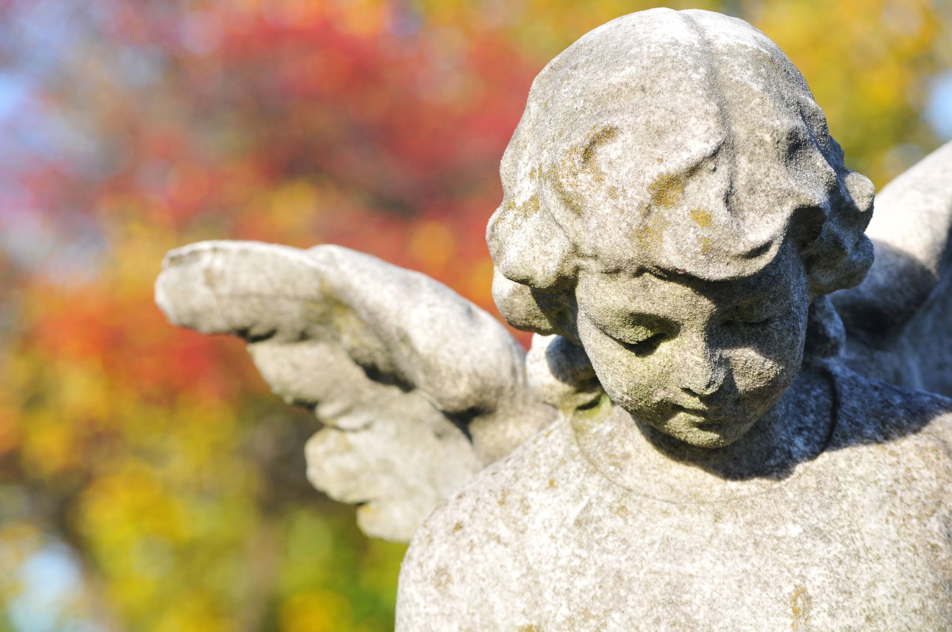 Una statua di pietra consumata dal tempo, raffigurante un angelo con il capo chino, stagliata su uno sfondo di foglie autunnali sfocate.