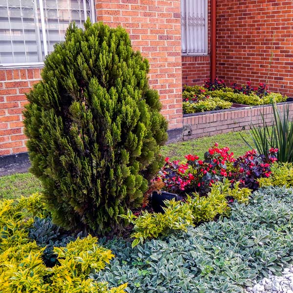 Small Garden with Trees Flowers — Lewiston, ID — Definitive Landscapes & Concrete, LLC