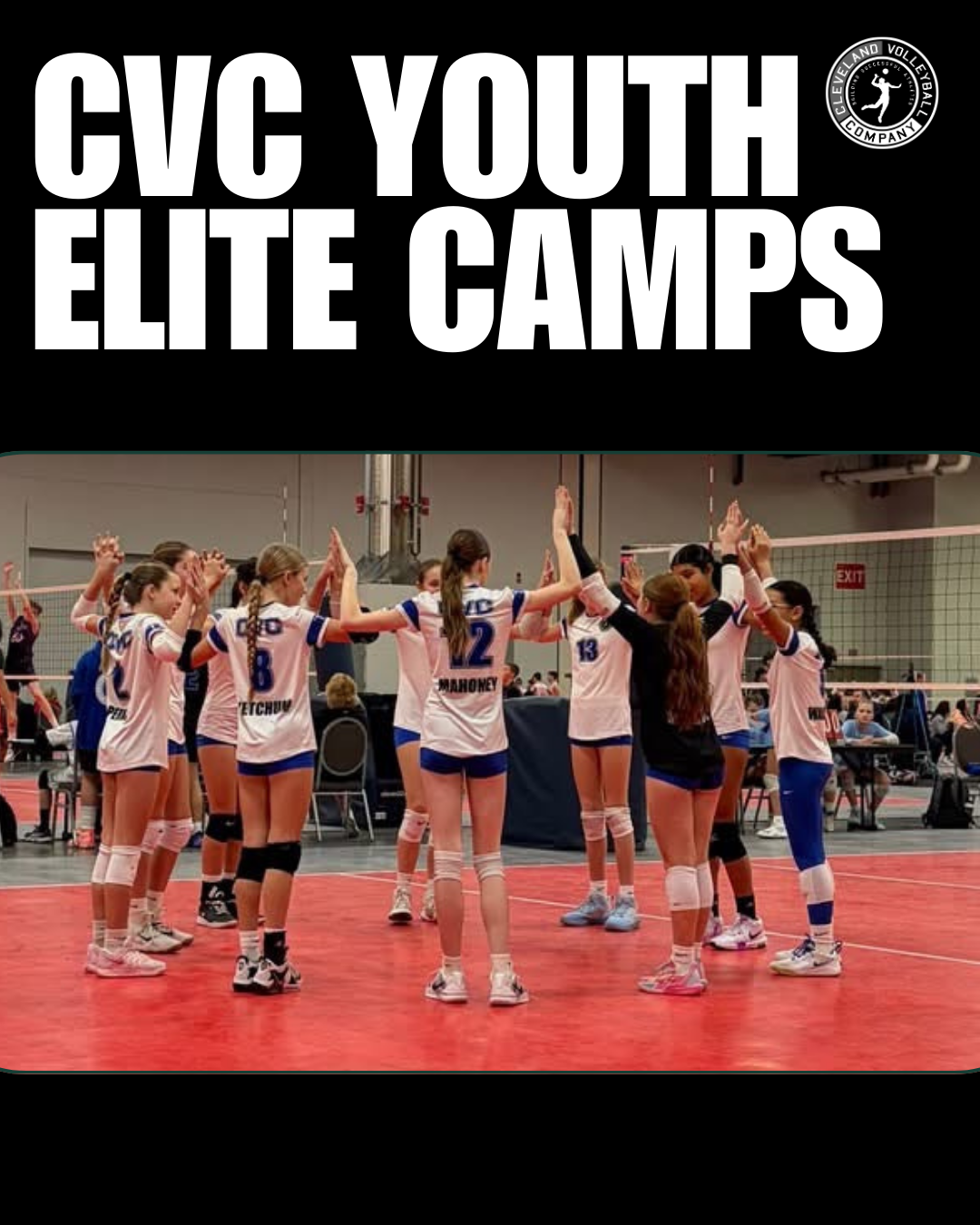 Cleveland Volleyball Company Sprouts & CVC Jrs. Camp flyer