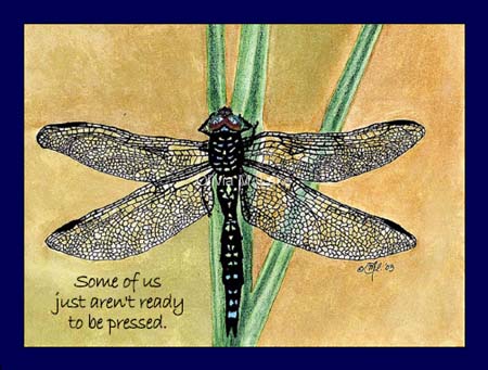 Dragonfly 2003 by Olivia M. Lake