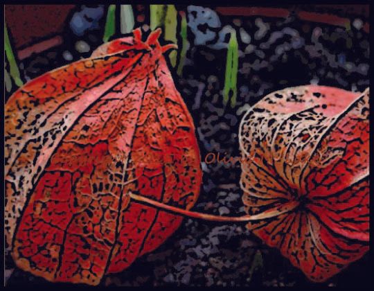 Chinese lantern note cards